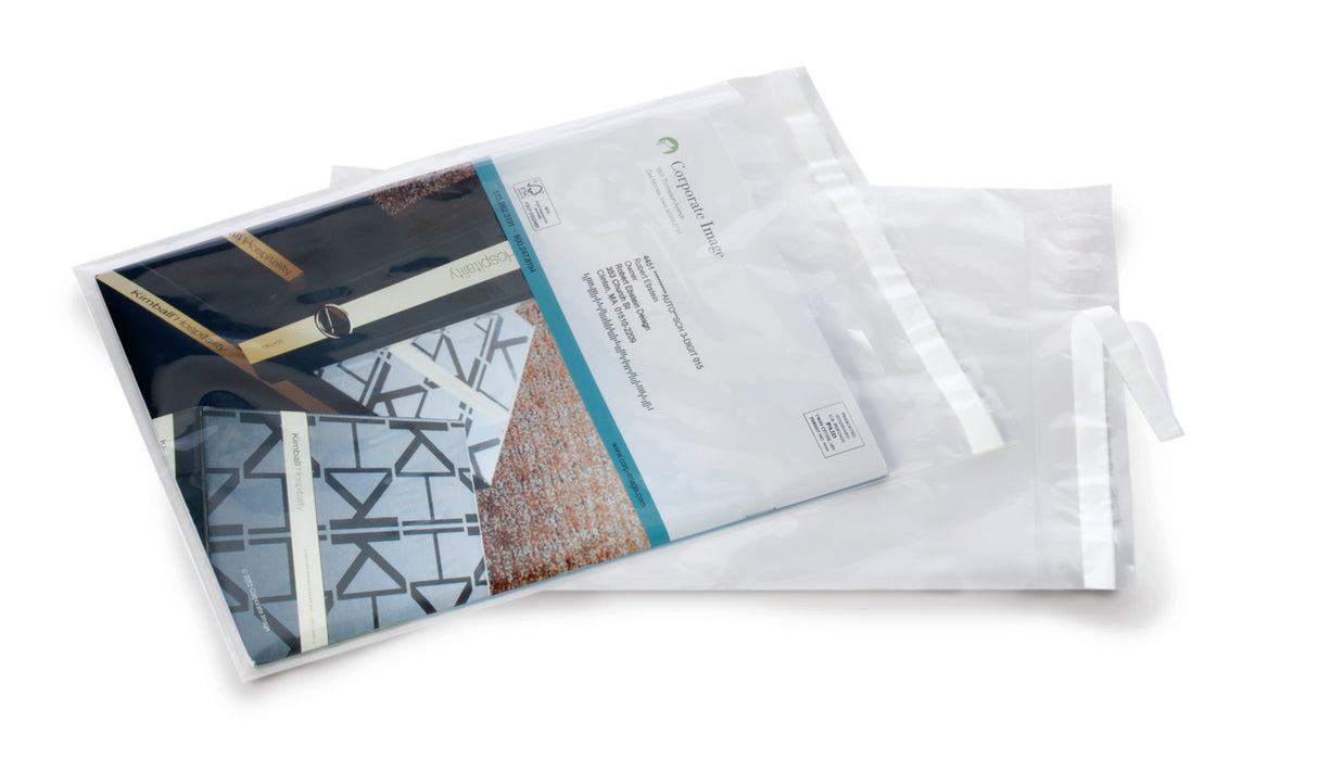 Clear Postal Approved Lip & Tape Mailing Bags 9 x 12 x 2 Mil Case:1000